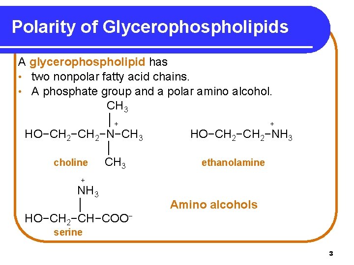 Polarity of Glycerophospholipids A glycerophospholipid has • two nonpolar fatty acid chains. • A