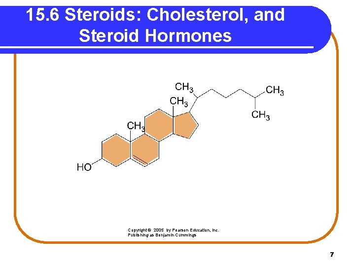 15. 6 Steroids: Cholesterol, and Steroid Hormones Copyright © 2005 by Pearson Education, Inc.