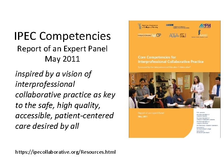 IPEC Competencies Report of an Expert Panel May 2011 inspired by a vision of