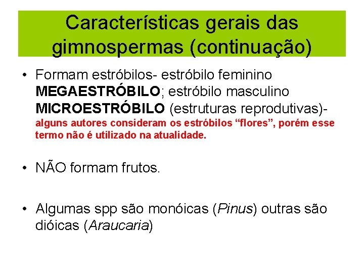 Características gerais das gimnospermas (continuação) • Formam estróbilos- estróbilo feminino MEGAESTRÓBILO; estróbilo masculino MICROESTRÓBILO