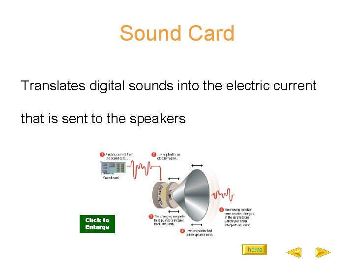 Sound Card Translates digital sounds into the electric current that is sent to the
