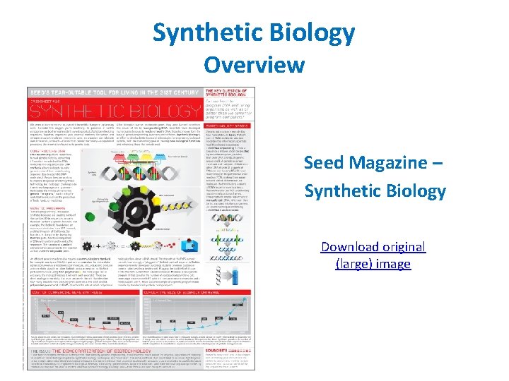 Synthetic Biology Overview Seed Magazine – Synthetic Biology Download original (large) image 