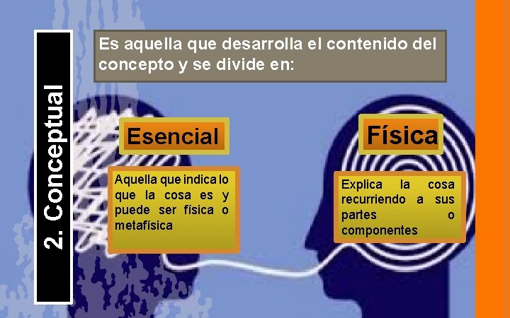 2. Conceptual Es aquella que desarrolla el contenido del concepto y se divide en: