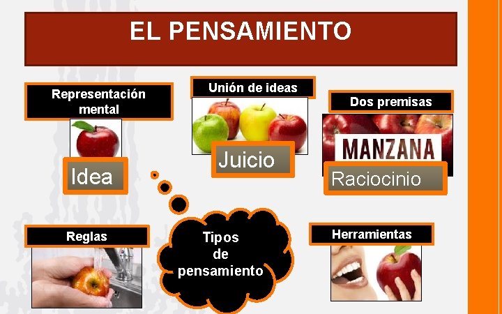 EL PENSAMIENTO Representación mental Idea Reglas Unión de ideas Juicio Tipos de pensamiento Dos