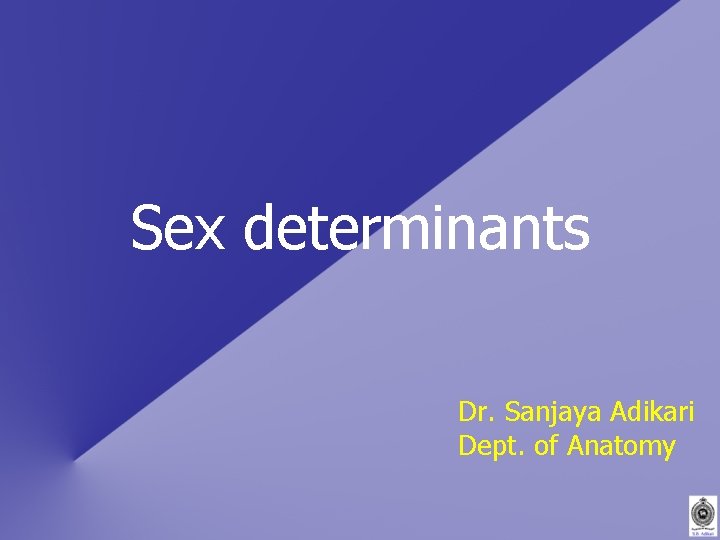 Sex determinants Dr. Sanjaya Adikari Dept. of Anatomy 