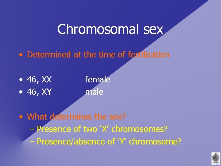 Chromosomal sex • Determined at the time of fertilization • 46, XX • 46,