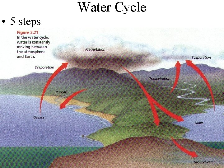 Water Cycle • 5 steps 