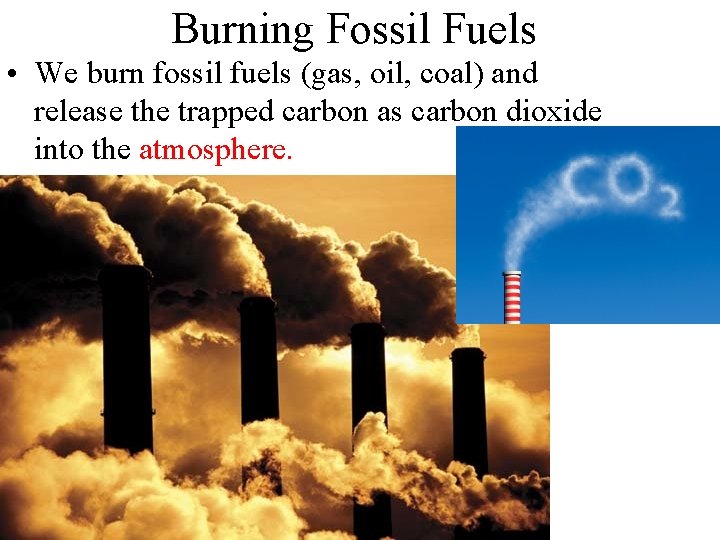 Burning Fossil Fuels • We burn fossil fuels (gas, oil, coal) and release the