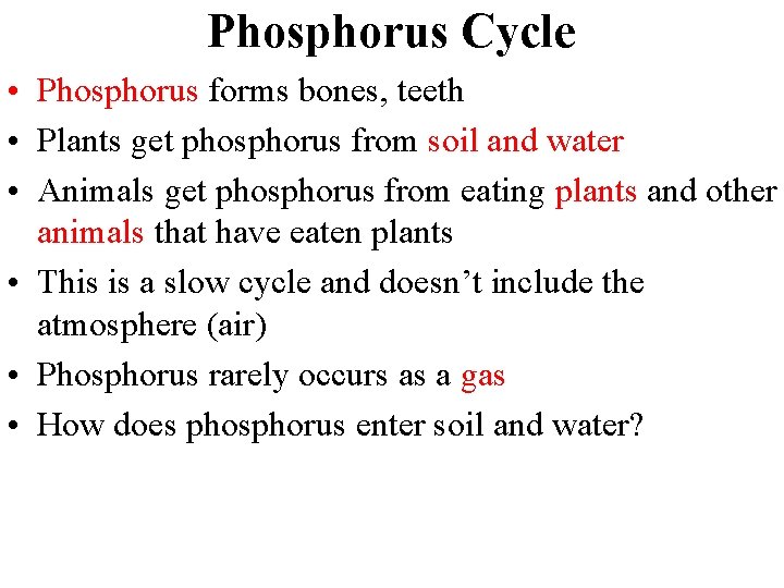 Phosphorus Cycle • Phosphorus forms bones, teeth • Plants get phosphorus from soil and