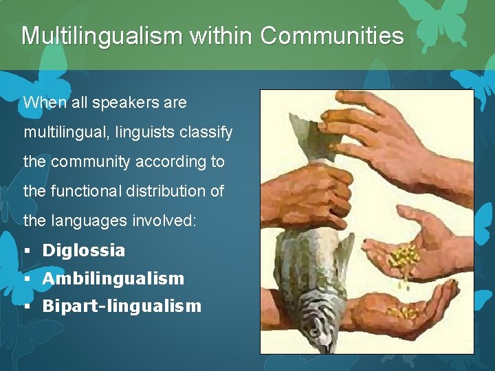 Multilingualism within Communities When all speakers are multilingual, linguists classify the community according to