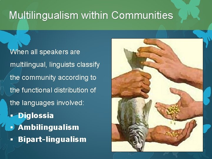 Multilingualism within Communities When all speakers are multilingual, linguists classify the community according to