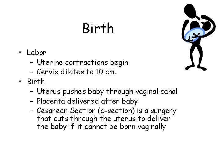 Birth • Labor – Uterine contractions begin – Cervix dilates to 10 cm. •
