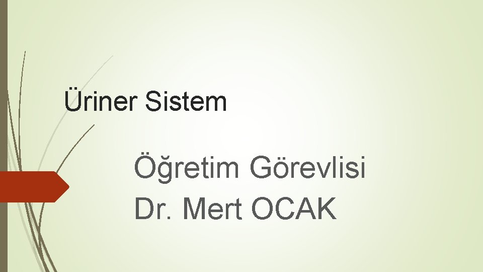 Üriner Sistem Öğretim Görevlisi Dr. Mert OCAK 