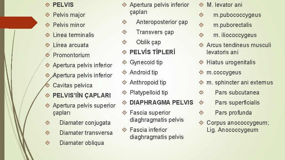  M. levator ani Pelvis major Apertura pelvis inferior çapları m. pubococcygeus Pelvis minor