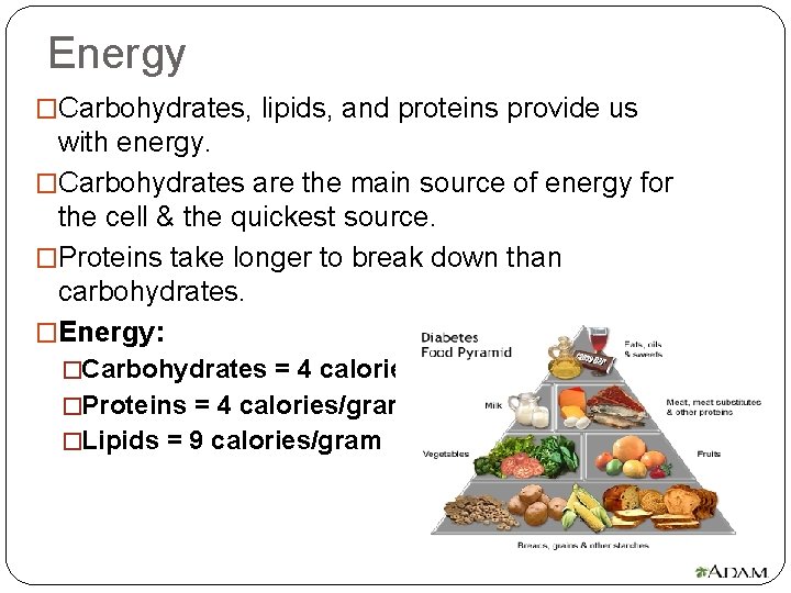 Energy �Carbohydrates, lipids, and proteins provide us with energy. �Carbohydrates are the main source