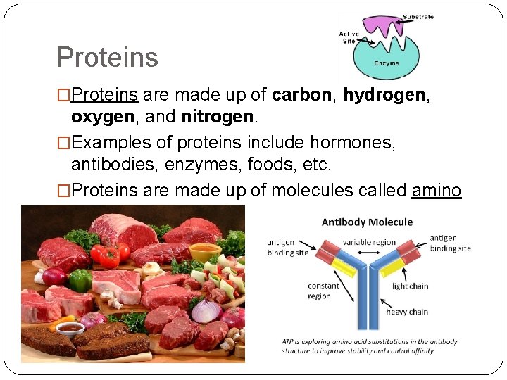 Proteins �Proteins are made up of carbon, hydrogen, oxygen, and nitrogen. �Examples of proteins