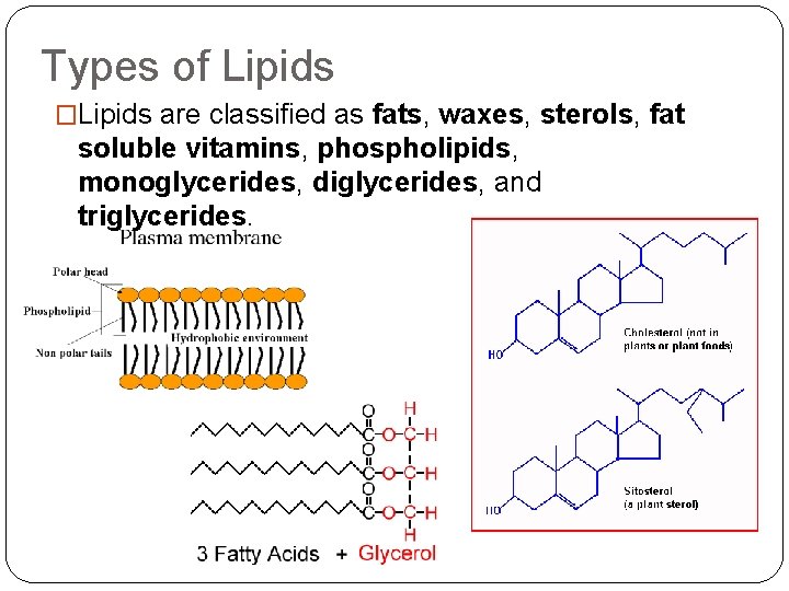 Types of Lipids �Lipids are classified as fats, waxes, sterols, fat soluble vitamins, phospholipids,