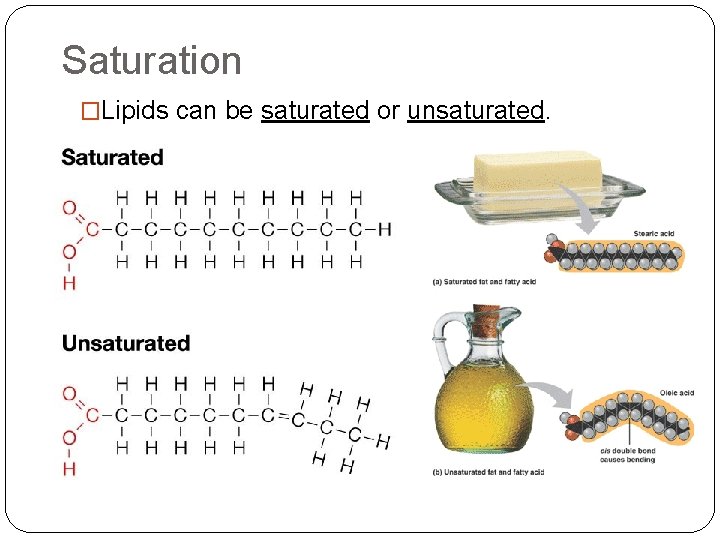 Saturation �Lipids can be saturated or unsaturated. 