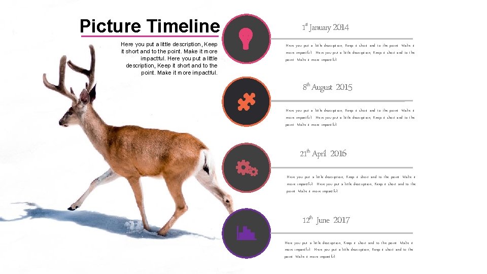 Picture Timeline Here you put a little description, Keep it short and to the