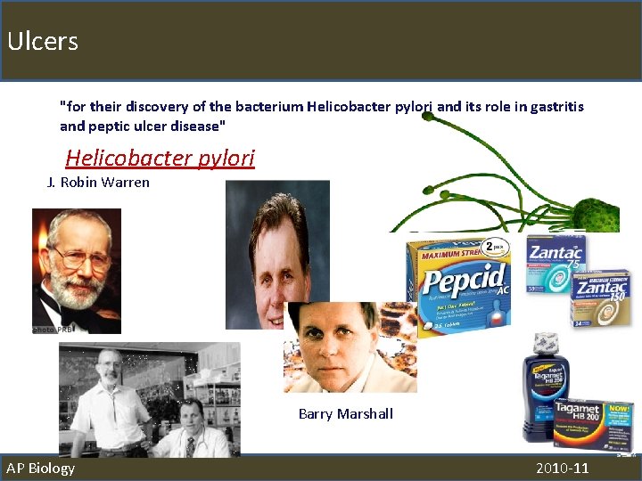Ulcers "for their discovery of the bacterium Helicobacter pylori and its role in gastritis