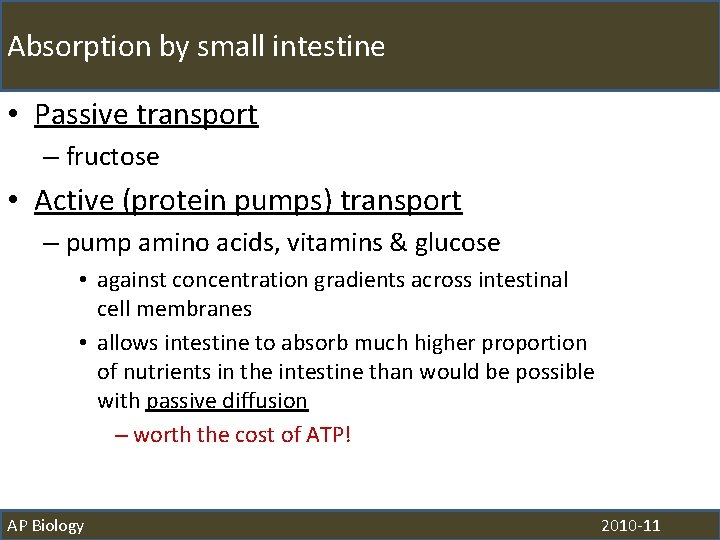 Absorption by small intestine • Passive transport – fructose • Active (protein pumps) transport