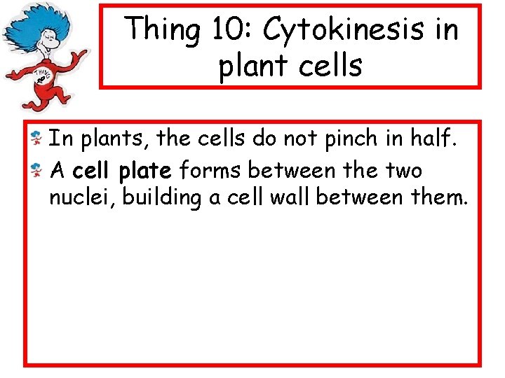 Thing 10: Cytokinesis in plant cells In plants, the cells do not pinch in