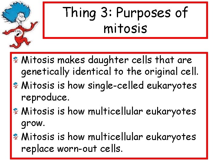 Thing 3: Purposes of mitosis Mitosis makes daughter cells that are genetically identical to
