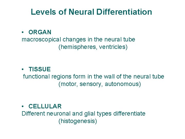 Levels of Neural Differentiation • ORGAN macroscopical changes in the neural tube (hemispheres, ventricles)
