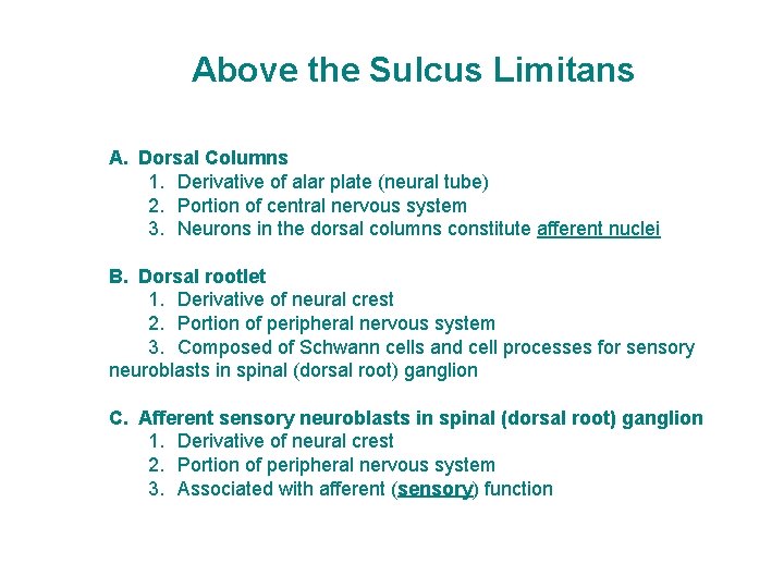 Above the Sulcus Limitans A. Dorsal Columns 1. Derivative of alar plate (neural tube)