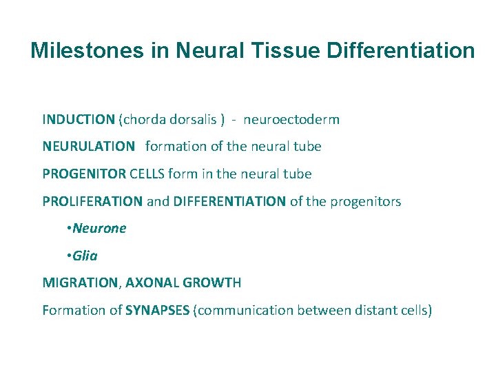 Milestones in Neural Tissue Differentiation INDUCTION (chorda dorsalis ) - neuroectoderm NEURULATION formation of