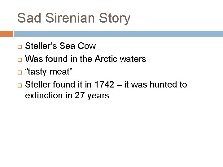 Sad Sirenian Story Steller’s Sea Cow Was found in the Arctic waters “tasty meat”