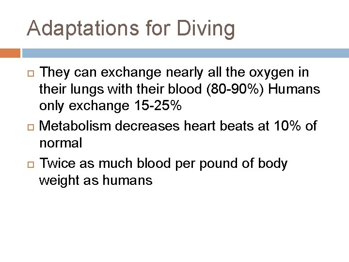 Adaptations for Diving They can exchange nearly all the oxygen in their lungs with