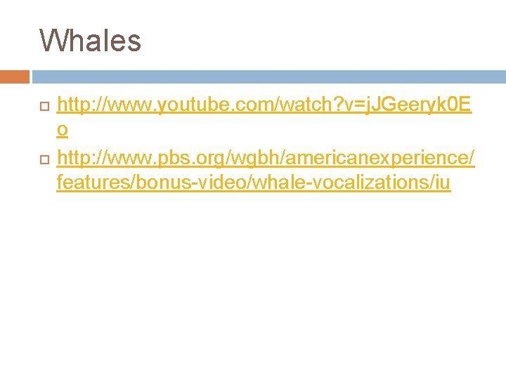 Whales http: //www. youtube. com/watch? v=j. JGeeryk 0 E o http: //www. pbs. org/wgbh/americanexperience/