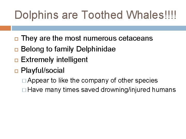 Dolphins are Toothed Whales!!!! They are the most numerous cetaceans Belong to family Delphinidae