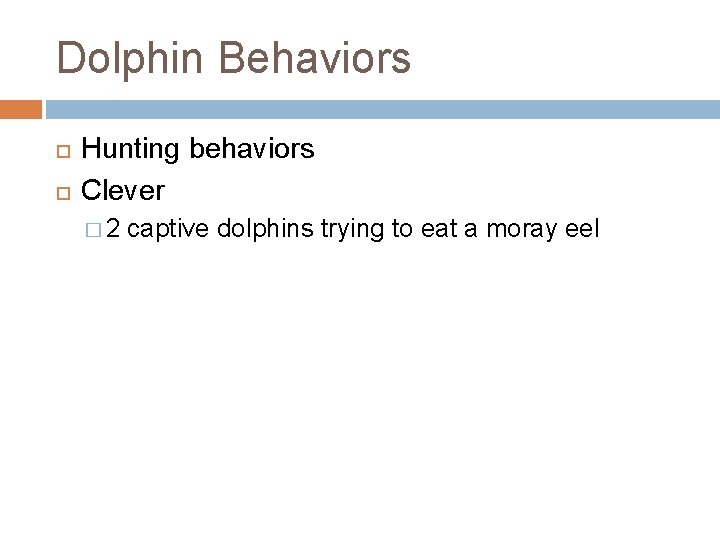 Dolphin Behaviors Hunting behaviors Clever � 2 captive dolphins trying to eat a moray