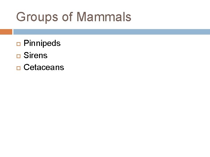 Groups of Mammals Pinnipeds Sirens Cetaceans 