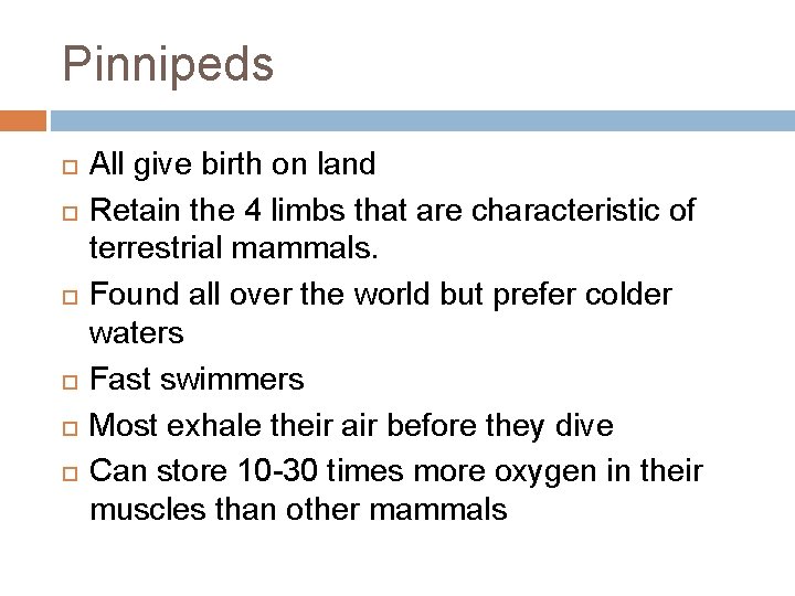 Pinnipeds All give birth on land Retain the 4 limbs that are characteristic of