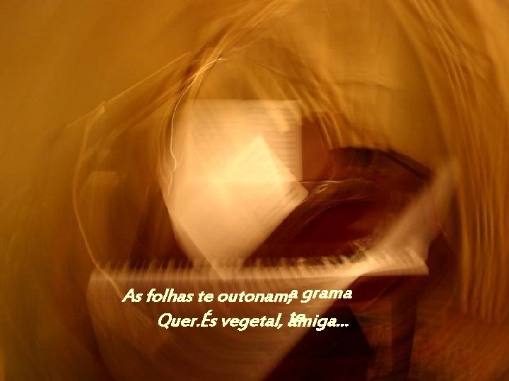 As folhas te outonam, a grama te Quer. És vegetal, amiga. . . 