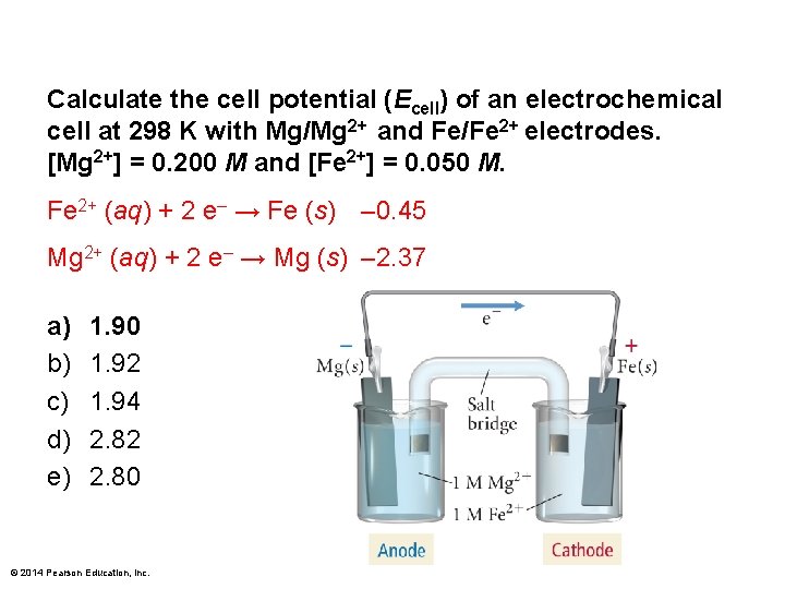 Calculate the cell potential (Ecell) of an electrochemical cell at 298 K with Mg/Mg