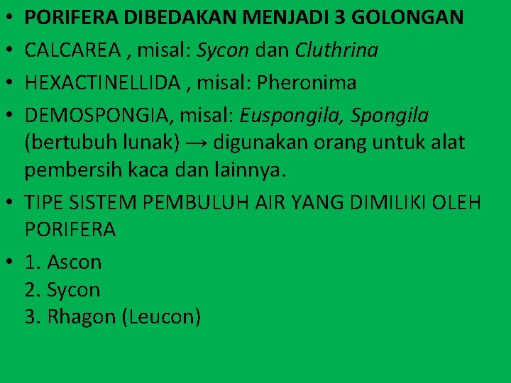 PORIFERA DIBEDAKAN MENJADI 3 GOLONGAN CALCAREA , misal: Sycon dan Cluthrina HEXACTINELLIDA , misal: