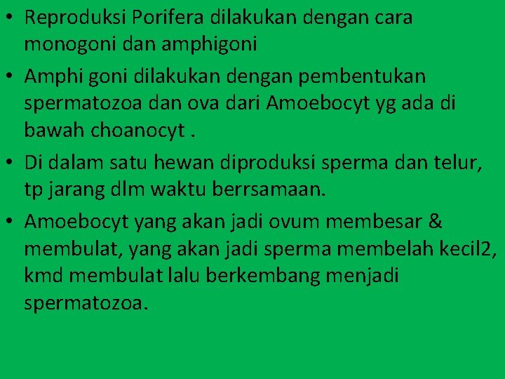  • Reproduksi Porifera dilakukan dengan cara monogoni dan amphigoni • Amphi goni dilakukan