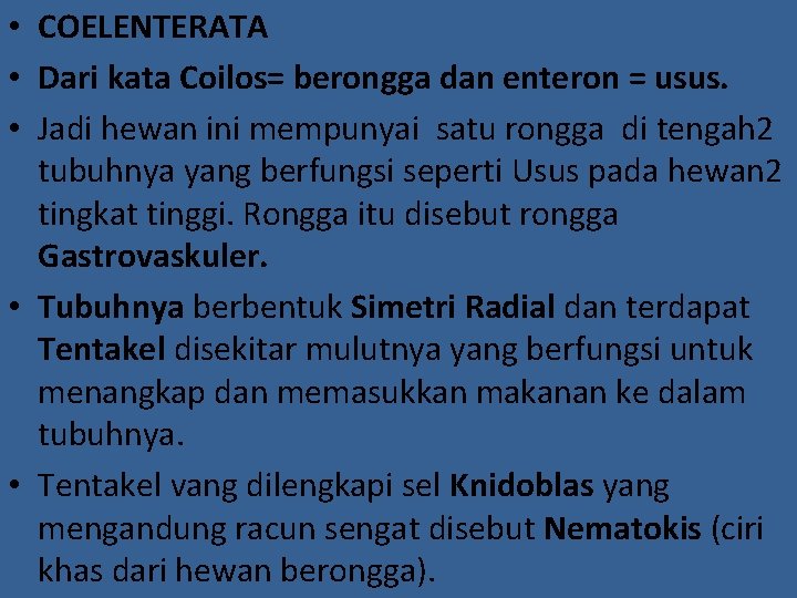  • COELENTERATA • Dari kata Coilos= berongga dan enteron = usus. • Jadi