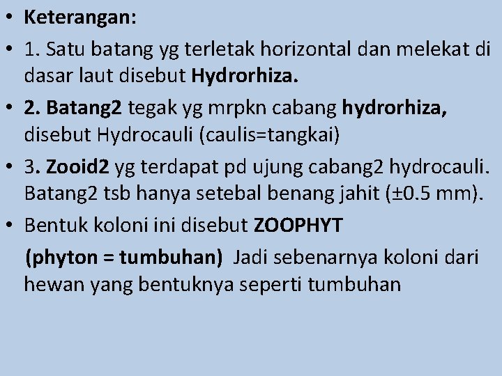  • Keterangan: • 1. Satu batang yg terletak horizontal dan melekat di dasar