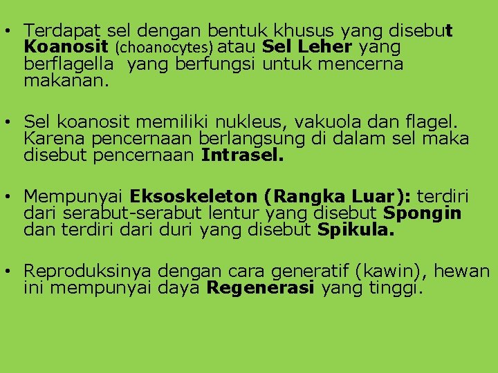  • Terdapat sel dengan bentuk khusus yang disebut Koanosit (choanocytes) atau Sel Leher