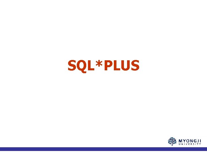 SQL*PLUS 