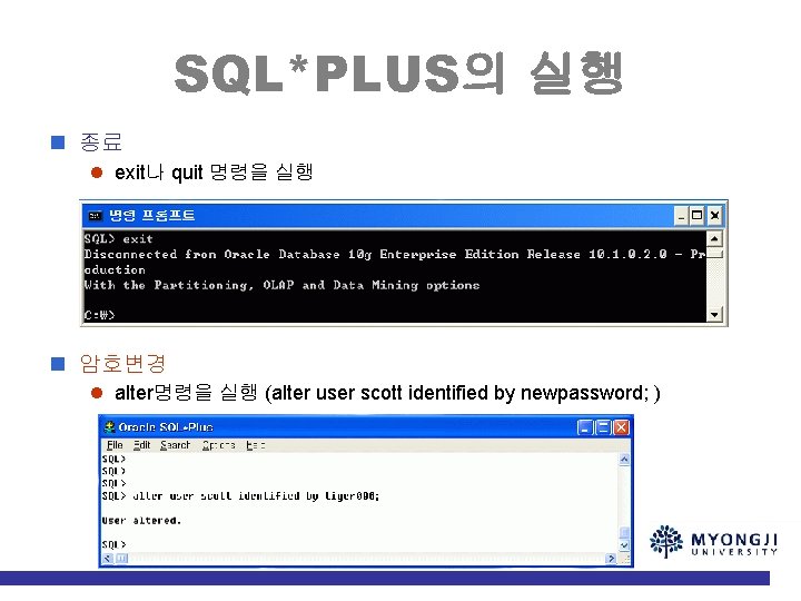 SQL*PLUS의 실행 n 종료 l exit나 quit 명령을 실행 n 암호변경 l alter명령을 실행