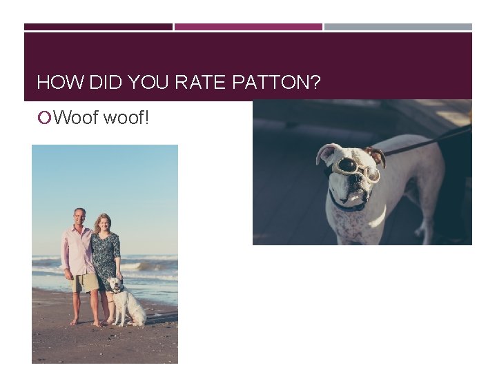 HOW DID YOU RATE PATTON? Woof woof! HOW DID YOU RATE PATTON? Woof woof!