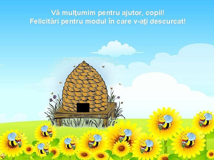 Vă mulţumim pentru ajutor, copii! Felicitări pentru modul în care v-aţi descurcat! 