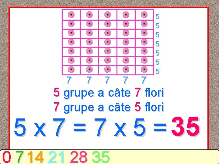 7 7 7 5 5 5 5 grupe a câte 7 flori 7 grupe