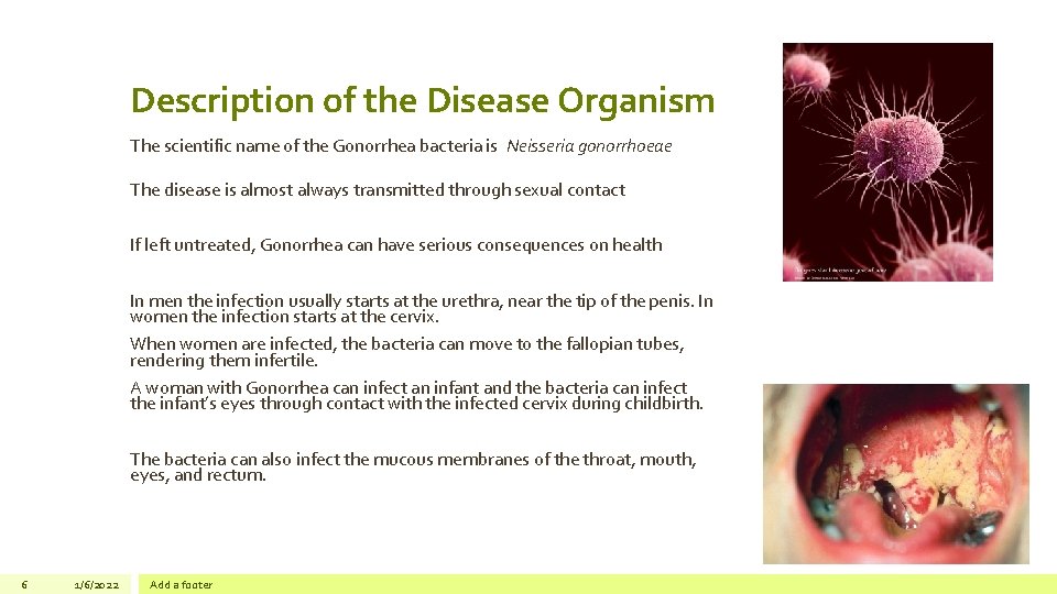 Description of the Disease Organism The scientific name of the Gonorrhea bacteria is Neisseria